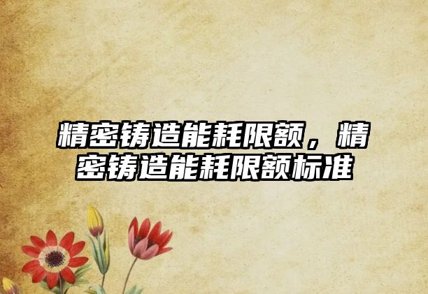 精密鑄造能耗限額，精密鑄造能耗限額標準