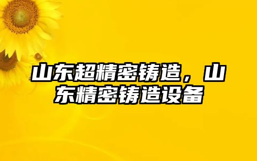 山東超精密鑄造，山東精密鑄造設(shè)備