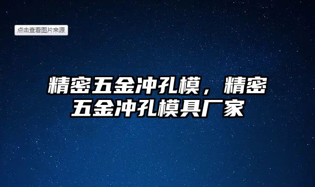 精密五金沖孔模，精密五金沖孔模具廠家