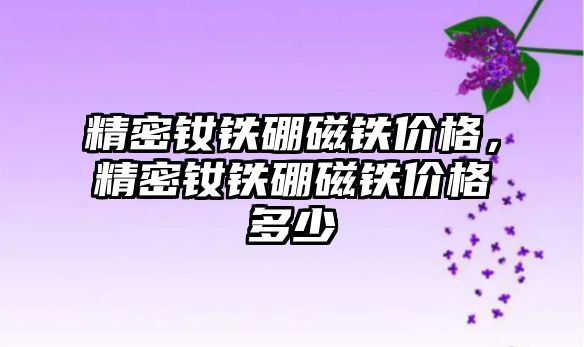 精密釹鐵硼磁鐵價格，精密釹鐵硼磁鐵價格多少