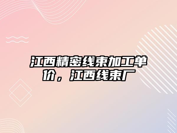 江西精密線束加工單價，江西線束廠