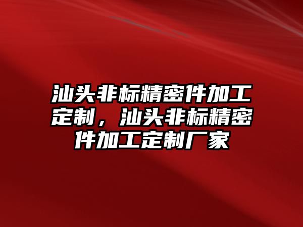 汕頭非標精密件加工定制，汕頭非標精密件加工定制廠家