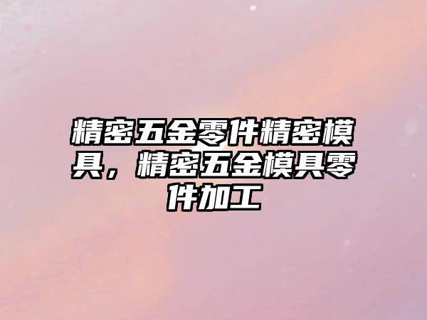 精密五金零件精密模具，精密五金模具零件加工