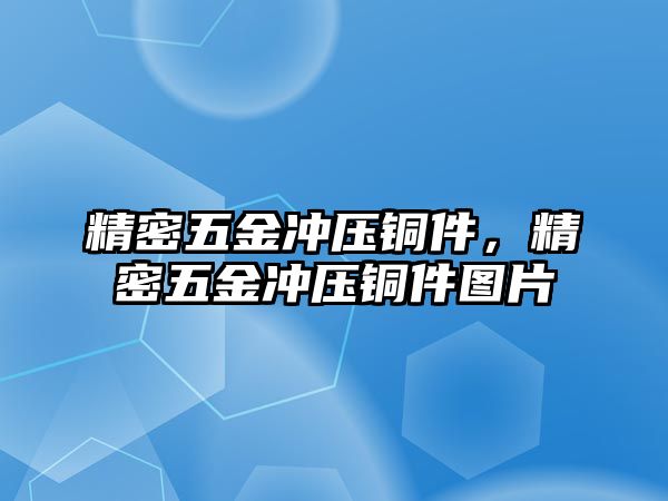 精密五金沖壓銅件，精密五金沖壓銅件圖片