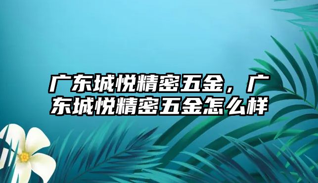 廣東城悅精密五金，廣東城悅精密五金怎么樣