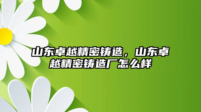 山東卓越精密鑄造，山東卓越精密鑄造廠怎么樣