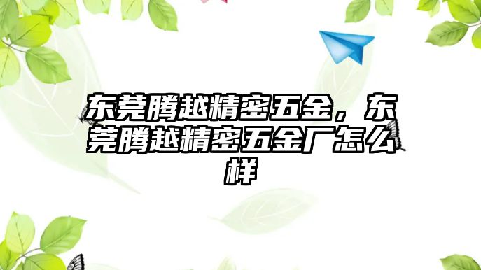 東莞騰越精密五金，東莞騰越精密五金廠怎么樣