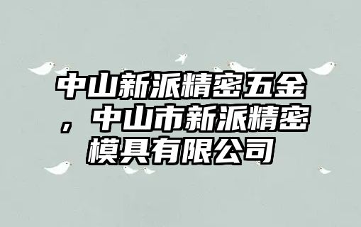 中山新派精密五金，中山市新派精密模具有限公司