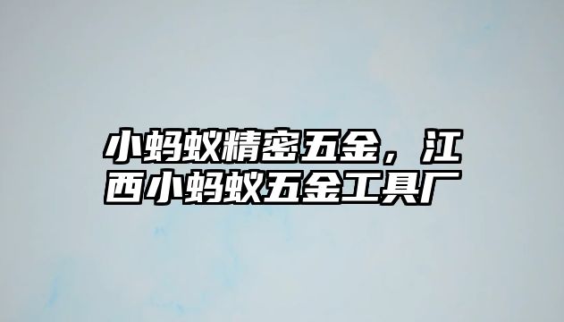 小螞蟻精密五金，江西小螞蟻五金工具廠