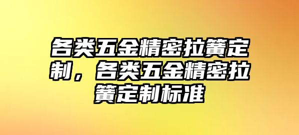 各類五金精密拉簧定制，各類五金精密拉簧定制標(biāo)準(zhǔn)