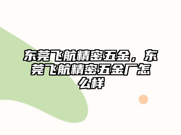 東莞飛航精密五金，東莞飛航精密五金廠怎么樣