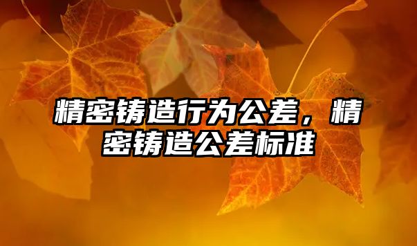 精密鑄造行為公差，精密鑄造公差標準