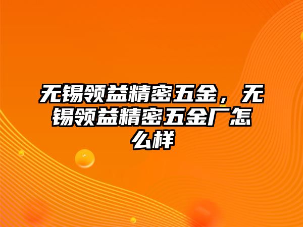 無錫領(lǐng)益精密五金，無錫領(lǐng)益精密五金廠怎么樣