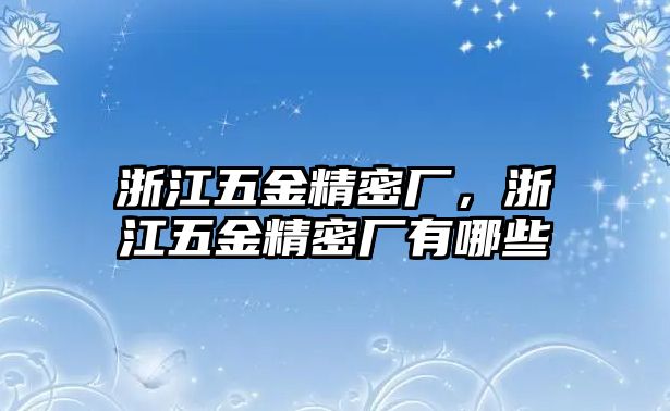 浙江五金精密廠，浙江五金精密廠有哪些