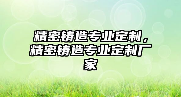 精密鑄造專業(yè)定制，精密鑄造專業(yè)定制廠家