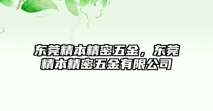 東莞精本精密五金，東莞精本精密五金有限公司