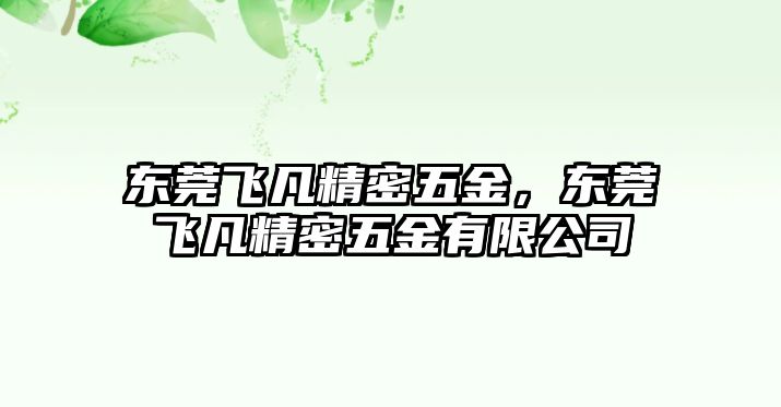 東莞飛凡精密五金，東莞飛凡精密五金有限公司