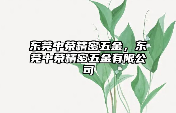 東莞中榮精密五金，東莞中榮精密五金有限公司