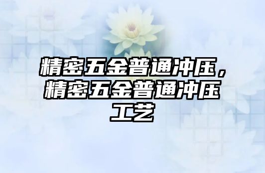 精密五金普通沖壓，精密五金普通沖壓工藝