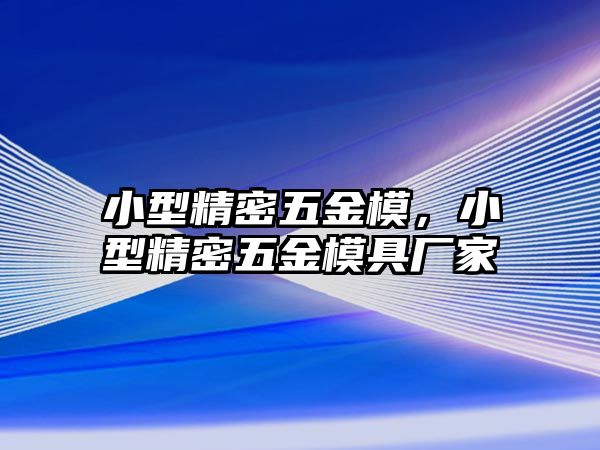 小型精密五金模，小型精密五金模具廠家