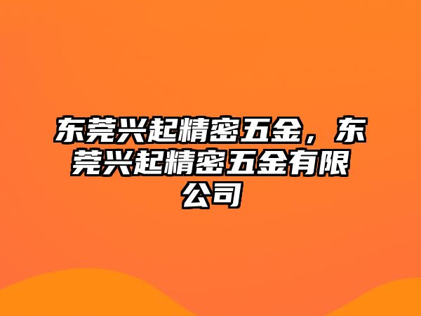 東莞興起精密五金，東莞興起精密五金有限公司