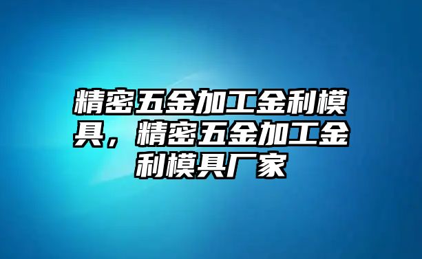 精密五金加工金利模具，精密五金加工金利模具廠家