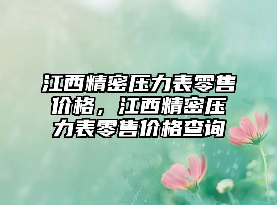 江西精密壓力表零售價(jià)格，江西精密壓力表零售價(jià)格查詢