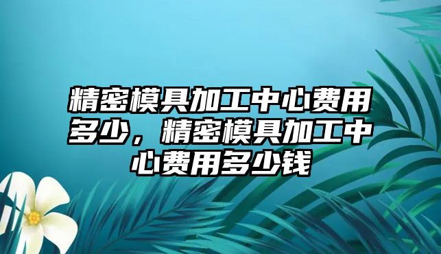 精密模具加工中心費(fèi)用多少，精密模具加工中心費(fèi)用多少錢