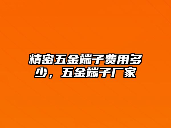 精密五金端子費(fèi)用多少，五金端子廠家