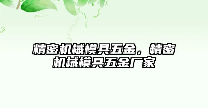 精密機(jī)械模具五金，精密機(jī)械模具五金廠家