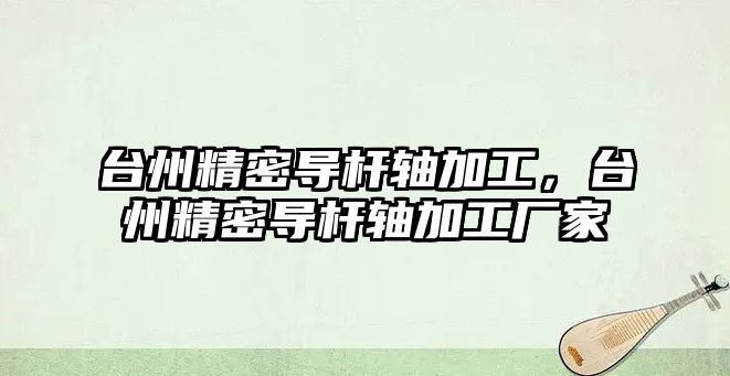 臺州精密導桿軸加工，臺州精密導桿軸加工廠家