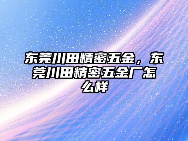 東莞川田精密五金，東莞川田精密五金廠怎么樣