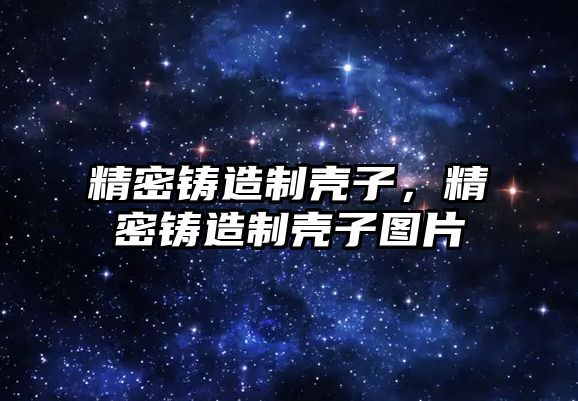 精密鑄造制殼子，精密鑄造制殼子圖片