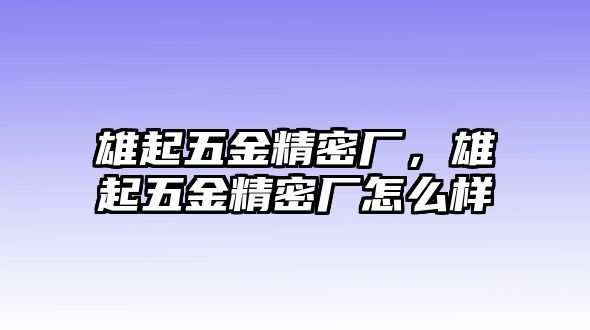 雄起五金精密廠，雄起五金精密廠怎么樣