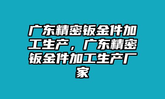 廣東精密鈑金件加工生產(chǎn)，廣東精密鈑金件加工生產(chǎn)廠家