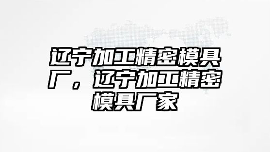 遼寧加工精密模具廠，遼寧加工精密模具廠家