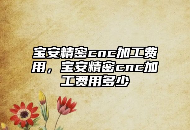 寶安精密cnc加工費(fèi)用，寶安精密cnc加工費(fèi)用多少