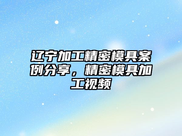 遼寧加工精密模具案例分享，精密模具加工視頻