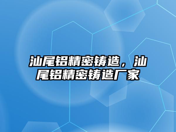 汕尾鋁精密鑄造，汕尾鋁精密鑄造廠家