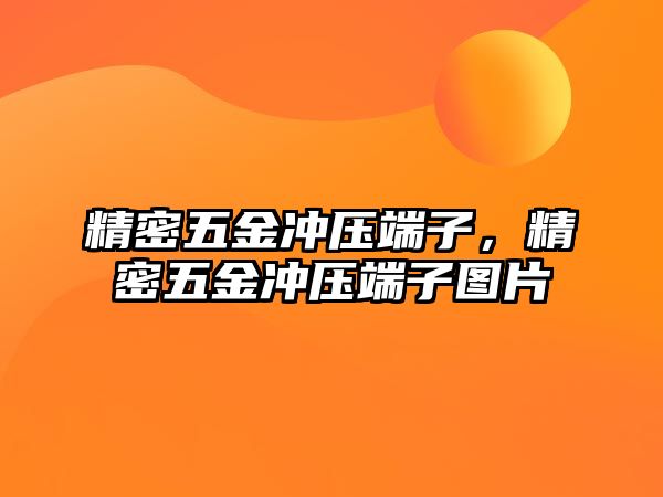 精密五金沖壓端子，精密五金沖壓端子圖片