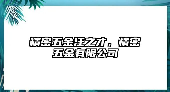 精密五金汪之才，精密五金有限公司