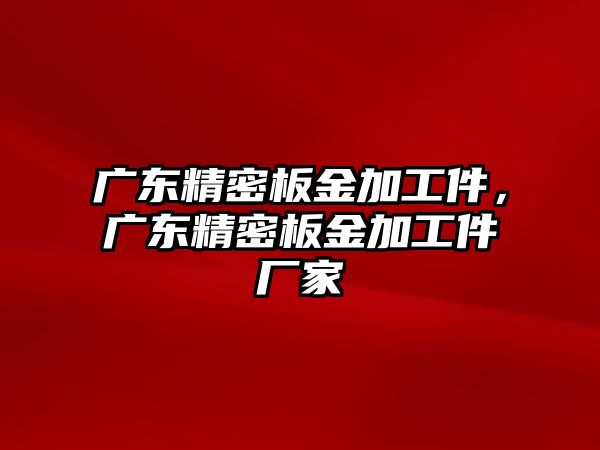 廣東精密板金加工件，廣東精密板金加工件廠家