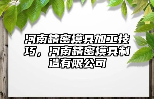 河南精密模具加工技巧，河南精密模具制造有限公司