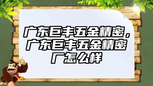 廣東巨豐五金精密，廣東巨豐五金精密廠怎么樣