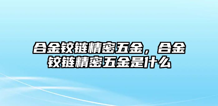 合金鉸鏈精密五金，合金鉸鏈精密五金是什么