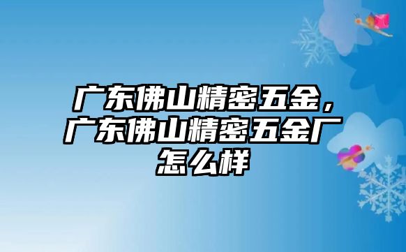 廣東佛山精密五金，廣東佛山精密五金廠怎么樣