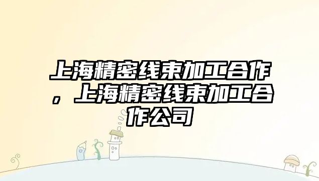 上海精密線束加工合作，上海精密線束加工合作公司