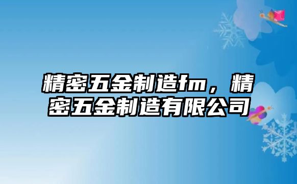 精密五金制造fm，精密五金制造有限公司