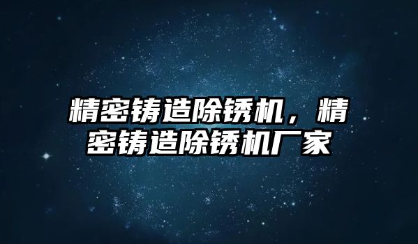 精密鑄造除銹機，精密鑄造除銹機廠家