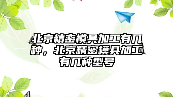 北京精密模具加工有幾種，北京精密模具加工有幾種型號